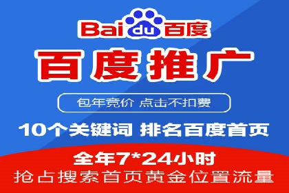 成功案例：网络推广与竞价广告的完美结合